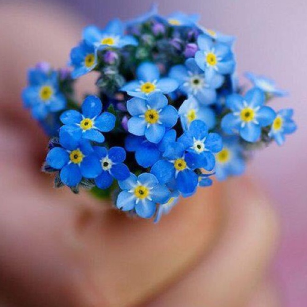 Meet your posher, Kelly.